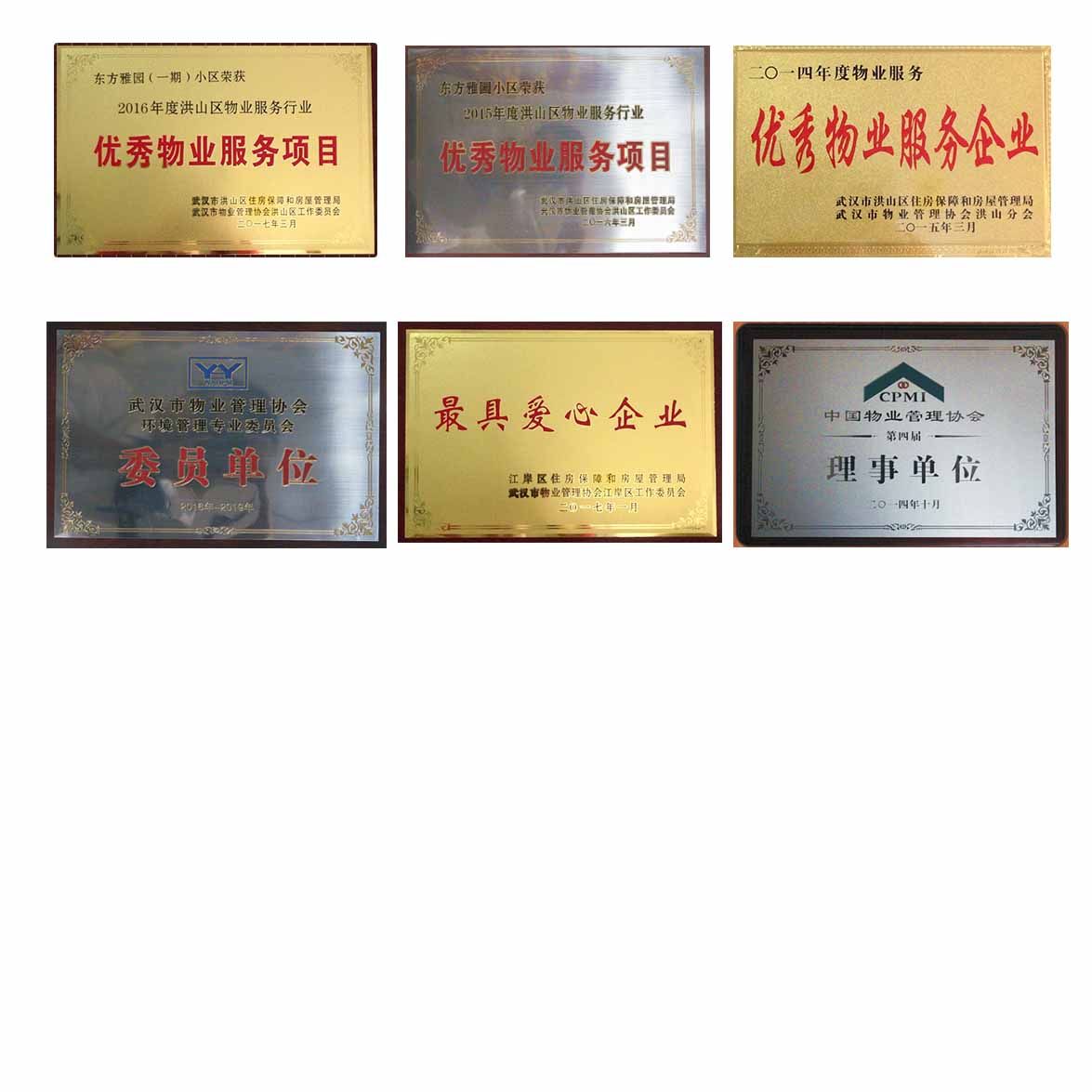 &#27867;&#20122;&#30005;&#31454;&#40;&#20013;&#22269;&#41;&#23448;&#26041;&#32593;&#31449;
